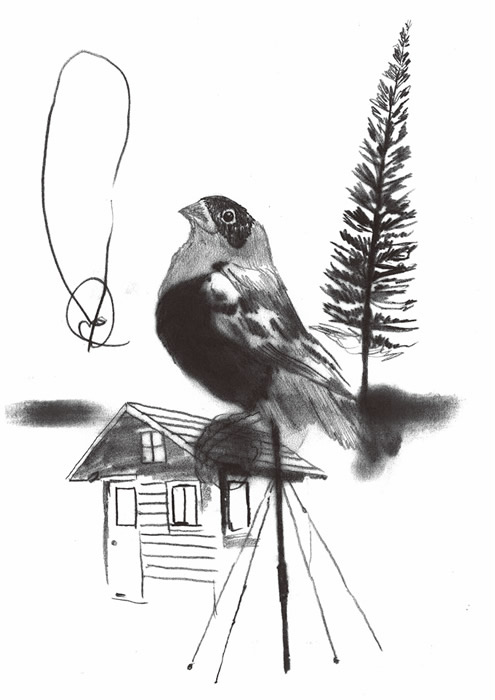 35